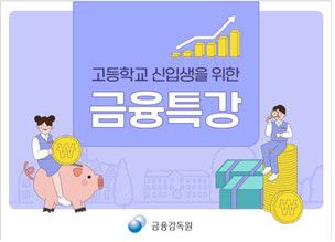 [금감원 제공]