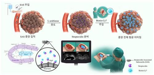 형광 가이드 기반 수술 모식도[KIST 제공. 재판매 및 DB 금지]