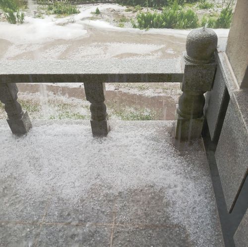 밀양 얼음골 사과 농가에 내린 우박[독자 제공. 재판매 및 DB 금지]