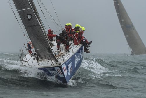 남해안컵 국제 요트대회사진 : 김울프 작가
