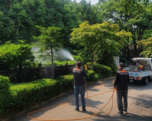 러브버그 친환경 방제 활동[마포구 제공. 재판매 및 DB 금지]
