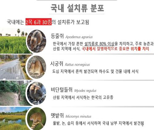 [질병관리청 제공]