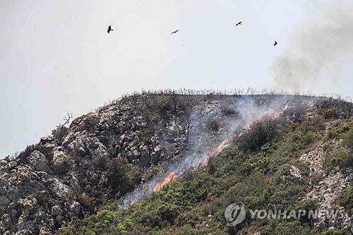프랑스 비자네에서 발생한 산불[AFP=연합뉴스 자료사진. 재판매 및 DB 금지]
