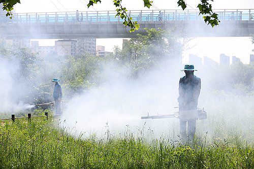병해충 잡아라[연합뉴스 자료사진]