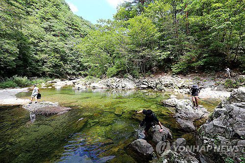 물길 따라 걷는 아침가리계곡 트레킹[인제군 제공. 재판매 및 DB 금지]