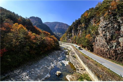 강원 네이처로드[강원도 제공.재판매 및 DB 금지]
