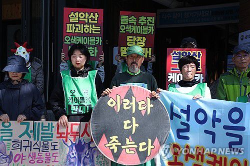 환경단체, 설악산 오색케이블카 중단 촉구[연합뉴스 자료사진]