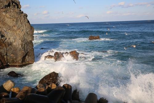 파도치는 바다[동해해경 제공. 재판매 및 DB 금지]