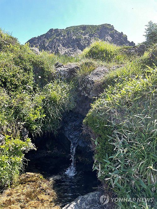 한라산 백록샘(제주=연합뉴스) 백나용 기자 = 5일 오전 한라산에서 진행된 구상나무 대표목 제주도는 국가유산청과 함께 제주 국가유산 방문의 해를 기념해 7일부터 오는 24일까지 사전 신청자에 한해 국내 최고 높이 샘인 한라산 '백록샘'을 민간에 공개한다고 5일 밝혔다. 사진은 프로그램 시작에 앞서 5일 이뤄진 전문가·언론 대상 백록샘 공개 행사. 2025.7.5 dragon.me@yna.co.kr