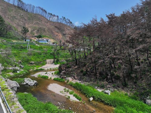 황량한 영양 삼의계곡[촬영 윤관식]