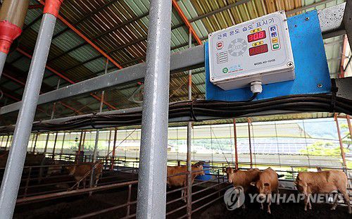 오전인데 벌써 30.8도(제천=연합뉴스) 김형우 기자 = 9일 오전 충북 제천시 금성면의 한 한우농장.     이날 오전 10시께 축사 한쪽 벽에 걸린 디지털 온도계는 벌써 30.8도를 나타내고 있다. 2025.7.9 vodcast@yna.co.kr