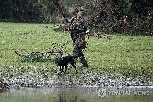미 텍사스주 커 카운티의 강변을 살피고 있는 수색대[EPA=연합뉴스. 재판매 및 DB 금지]