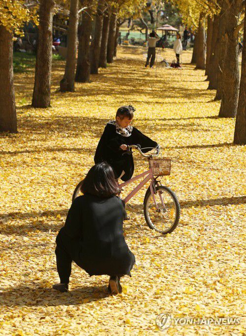 깊어가는 가을 속 모녀[연합뉴스 자료사진]