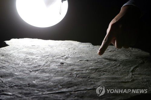 전남대 연구팀 "익룡 군집생활 증명"2022년 허민 당시 전남대 교수(지구환경과학부·한국공룡연구센터장) 연구팀이 발견한 익룡 발자국 화석 표본 [연합뉴스 자료사진]
