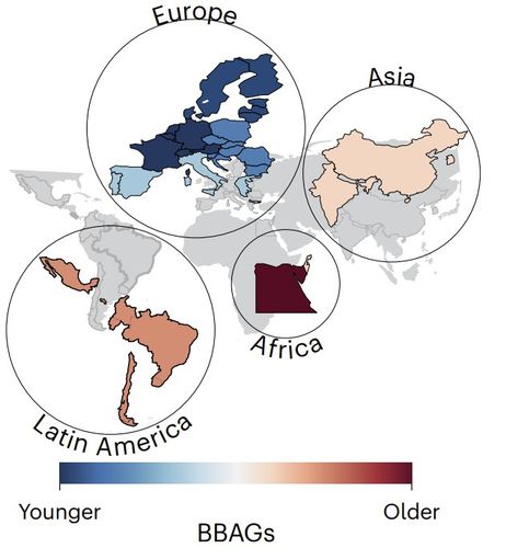 대륙별 생물학적 나이-실제 나이 차이(BBAG)유럽 국가들은 생물학적 나이(biological age)가 실제 나이(chronological age)보다 젊은 건강한 노화(healthy ageing) 비율이 높았으나, 이집트와 남아프리카공화국 같은 저소득 국가는 생물학적 나이가 실제 나이보다 많은 가속화된 노화(accelerated ageing)가 두드러졌다. 한국·중국·인도·이스라엘 등 연구에 포함된 아시아 4개국은 유럽보다는 노화가 빠르지만, 아프리카나 라틴아메리카보다는 가속화된 노화 정도가 낮았다.[[Nature Medicine / Agustin Ibanez et al. 제공. 재판매 및 DB 금지]