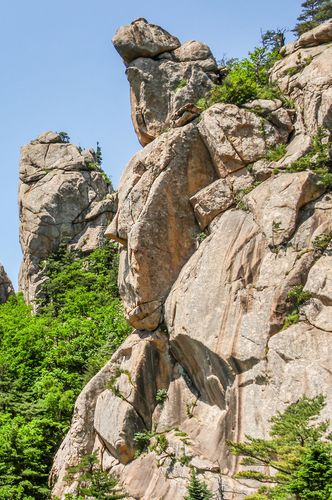 적멸보궁에서 바라본 천진석가여래상[사진/백승렬 기자]