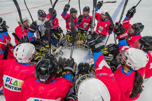 파라 아이스하키 대회 장면[2018평창기념재단 제공. 재판매 및 DB 금지]
