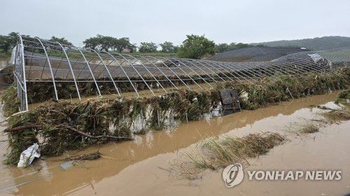 초토화된 비닐하우스(서산=연합뉴스) 정윤덕 기자 = 17일 오전 충남 서산에 많게는 400㎜ 넘는 물 폭탄이 쏟아진 가운데 서산시 음암면 유계리의 초토화된 비닐하우스 뼈대에 부유물이 잔뜩 걸려 있다. 2025.7.17 cobra@yna.co.kr