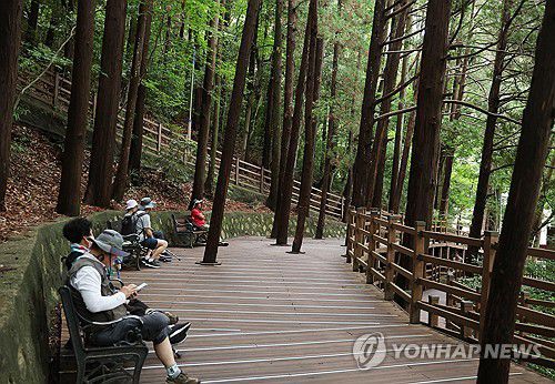 무더위엔 산림욕이 최고[연합뉴스 자료사진]