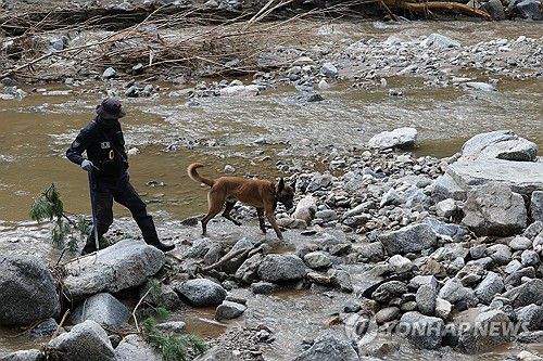 가평 괴물 폭우 '실종자 수색'(가평=연합뉴스) 임병식 기자 = 22일 경기도 가평군 조종면 마일리에서 경찰이 탐지견으로 실종자 수색 작업을 벌이고 있다. 2025.7.22 andphotodo@yna.co.kr