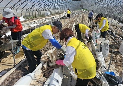 비닐하우스 토사제거 봉사활동(서울=연합뉴스) 자원봉사자들이 최근 충남 홍성군의 수해 피해 비닐하우스에서 토사를 제거하고 있다. 2025.7.28 [경주시종합자원봉사센터 제공] (끝)