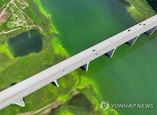 연이은 폭염에 소양호 상류 뒤덮은 녹조(인제=연합뉴스) 양지웅 기자 = 전국 대부분 지역에 폭염이 이어진 28일 강원 인제군 소양호 상류에 발생한 녹조가 수면을 뒤덮고 있다. 2025.7.28 yangdoo@yna.co.kr