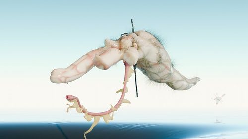 '살의 여덟 정령 - 간' 영상 일부 추수, '살의 여덟 정령 - 간', 2025, 영상, 컬러, 사운드. 13분 6초. 음악: 마르텐 보스, 3D 그래픽 팀: 로이드 마크바트·지언 쾨니히, 에디팅 어시스턴트: 김소희 [국립현대미술관 제공. 재판매 및 DB 금지]