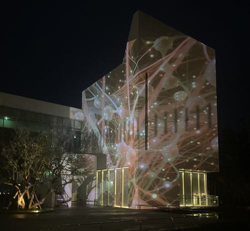 강릉시립미술관 솔올, 미디어파사드[강릉시 제공. 재판매 및 DB 금지]