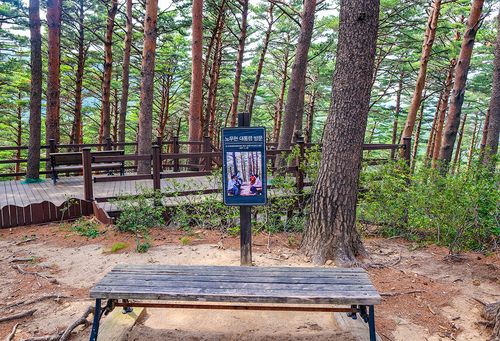 대통령 쉼터[사진/임헌정 기자]