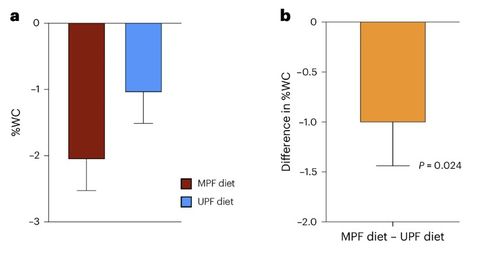 최소가공식품(MPF) 및 초가공식품(UPF) 그룹의 체중 감량 차이 최소가공식품(MPF) 및 초가공식품(UPF) 그룹이 각 식단을 8주간 이행한 후 체중 변화를 측정한 결과 두 그룹 모두 체중이 유의미하게 감소했으나 감량 폭은 크게 달랐다. 최소가공식품 그룹은 체중이 평균 2.06% 줄어 초가공식품 그룹(1.05%)보다 감량 폭이 2배 가까이 컸다. [Nature Medicine, Samuel J. Dicken et al. 제공. 재판매 및 DB 금지]