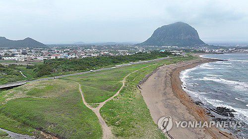 사계리 해안사구 [촬영 박지호 기자]