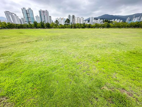 부산시민공원 하야리아 잔디광장. 축구장 6배 크기다. [사진/권혁창 기자]