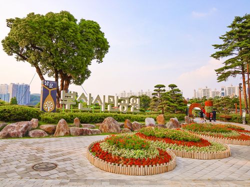 부산시민공원 남3문. 뒤에 보이는 나무가 부산에서 가장 큰 녹나무다. [사진/권혁창 기자]