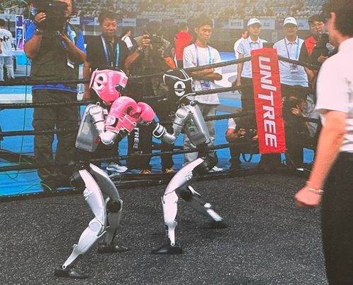 로봇 킥복싱 경기    (베이징=연합뉴스) 정성조 특파원 = 15일 오전 중국 베이징 '세계 휴머노이드 로봇 운동회' 로봇 킥복싱 경기 모습. 2025.8.15 xing@yna.co.kr