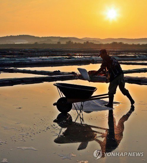 안산 대부도 동주염전 작업[안산시 제공. 재판매 및 DB 금지]