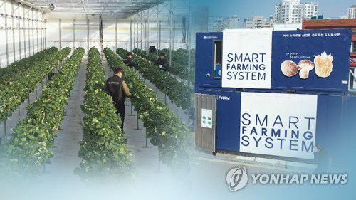 스마트팜 (CG)[연합뉴스TV 제공]