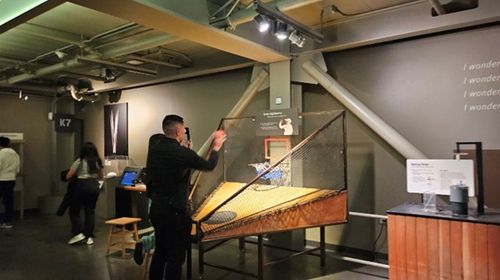 익스플로라토리움에서 공놀이를 하며 과학적 개념을 학습하는 관람객 [이은준 제공]