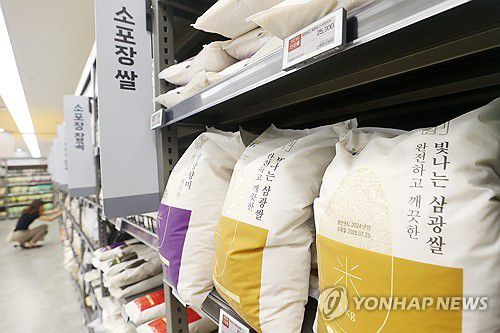 [연합뉴스 자료사진]