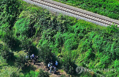 경부선 열차사고…유류품 수색하는 경찰(청도=연합뉴스) 윤관식 기자 = 22일 경북 청도군 경부선 열차사고 현장 인근에서 경찰이 사상자들의 유류품 수색을 하고 있다.      해당 장소에서는 지난 19일 작업자 7명이 무궁화호에 치이는 사고가 났다. 2025.8.22 psik@yna.co.kr