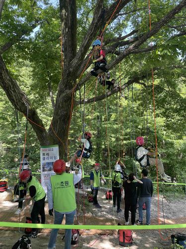 울주 클라이밍데이[울산울주세계산악영화제 제공.재판매 및 DB 금지]