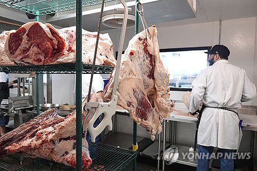 소고기[AP=연합뉴스 자료사진]