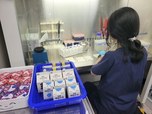 유가공품 안전성 검사[대전시 제공. 재판매 및 DB 금지]