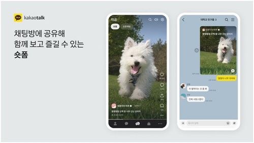 지금탭[카카오 제공. 재판매 및 DB 금지]