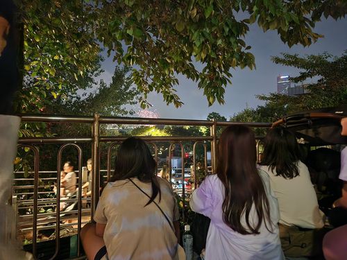 불꽃놀이 지켜보는 시민들[촬영 김준태]