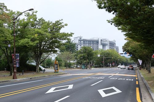 깔끔하게 정비된 경주 보문관광단지 도로[촬영 손대성]