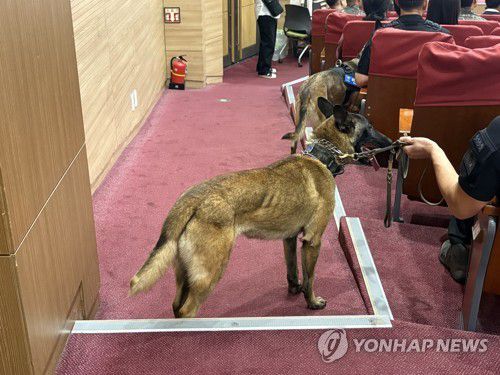 포럼 참석한 경찰견 '루이'(서울=연합뉴스) 최혜정 인턴기자 = 지난 23일 국회의원회관 대회의실에서 열린 '봉사동물 지원 법적 근거 마련을 위한 국회 정책포럼' 자리에서 경찰견 루이가 늠름하게 서 있다. 2025.9.28