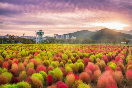 양산 황산공원[경남도 제공. 재판매 및 DB 금지]