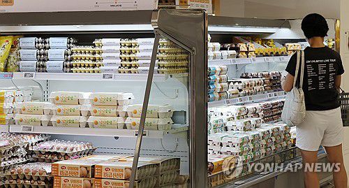 서울 한 대형마트 달걀 매장[연합뉴스 자료사진]