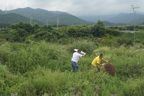 오미자 작가의 공굴리기 [부산비엔날레조직위원회 제공. 재판매 및 DB 금지]