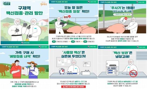 구제역 백신 접종 관리 방안 카드뉴스[강원도 제공.재판매 및 DB 금지]